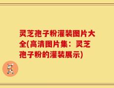 灵芝孢子粉灌装图片大全(高清图片集：灵芝孢子粉的灌装展示)