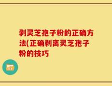 剥灵芝孢子粉的正确方法(正确剥离灵芝孢子粉的技巧