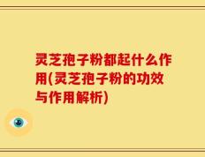 灵芝孢子粉都起什么作用(灵芝孢子粉的功效与作用解析)
