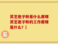 灵芝孢子粉是什么原理灵芝孢子粉的工作原理是什么？)