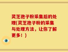 灵芝孢子粉采集后的处理(灵芝孢子粉的采集与处理方法，让你了解更多！)