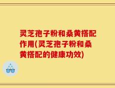 灵芝孢子粉和桑黄搭配作用(灵芝孢子粉和桑黄搭配的健康功效)