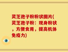 灵芝孢子粉粉状图片(灵芝孢子粉：现身粉状，方便食用，提高机体免疫力)