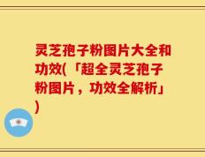 灵芝孢子粉图片大全和功效(「超全灵芝孢子粉图片，功效全解析」)