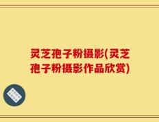 灵芝孢子粉摄影(灵芝孢子粉摄影作品欣赏)