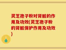 灵芝孢子粉对肾脏的作用及功效(灵芝孢子粉的肾脏保护作用及功效)