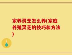 家养灵芝怎么养(家庭养殖灵芝的技巧和方法)