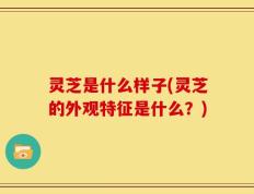 灵芝是什么样子(灵芝的外观特征是什么？)