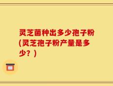 灵芝菌种出多少孢子粉(灵芝孢子粉产量是多少？)