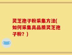 灵芝孢子粉采集方法(如何采集高品质灵芝孢子粉？)