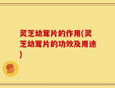灵芝幼茸片的作用(灵芝幼茸片的功效及用途)