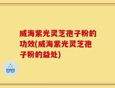 威海紫光灵芝孢子粉的功效(威海紫光灵芝孢子粉的益处)