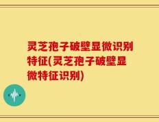 灵芝孢子破壁显微识别特征(灵芝孢子破壁显微特征识别)