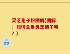 灵芝孢子粉图解(图解：如何食用灵芝孢子粉？)