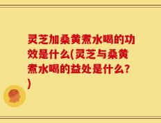 灵芝加桑黄煮水喝的功效是什么(灵芝与桑黄煮水喝的益处是什么？)