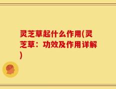 灵芝草起什么作用(灵芝草：功效及作用详解)