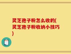 灵芝孢子粉怎么收的(灵芝孢子粉收纳小技巧)