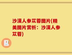 沙漠人参苁蓉图片(精美图片赏析：沙漠人参苁蓉)
