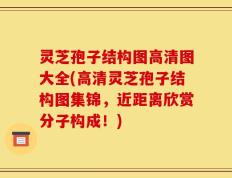 灵芝孢子结构图高清图大全(高清灵芝孢子结构图集锦，近距离欣赏分子构成！)
