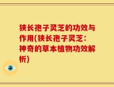 狭长孢子灵芝的功效与作用(狭长孢子灵芝：神奇的草本植物功效解析)