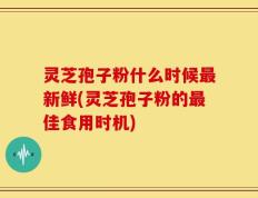 灵芝孢子粉什么时候最新鲜(灵芝孢子粉的最佳食用时机)