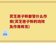 灵芝孢子粉都管什么作用(灵芝孢子粉的功效及作用概览)
