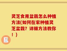 灵芝食用盆栽怎么种植方法(如何在家种植灵芝盆栽？详细方法教你！)