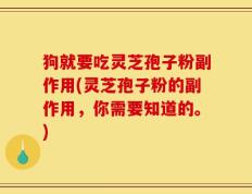狗就要吃灵芝孢子粉副作用(灵芝孢子粉的副作用，你需要知道的。)