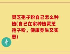 灵芝孢子粉自己怎么种植(自己在家种植灵芝孢子粉，健康养生又实惠)