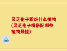 灵芝孢子粉炖什么植物(灵芝孢子粉搭配哪些植物最佳)