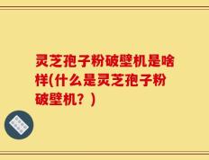 灵芝孢子粉破壁机是啥样(什么是灵芝孢子粉破壁机？)