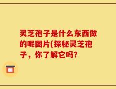 灵芝孢子是什么东西做的呢图片(探秘灵芝孢子，你了解它吗？