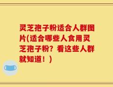 灵芝孢子粉适合人群图片(适合哪些人食用灵芝孢子粉？看这些人群就知道！)