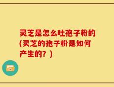 灵芝是怎么吐孢子粉的(灵芝的孢子粉是如何产生的？)