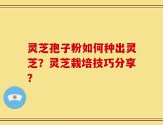 灵芝孢子粉如何种出灵芝？灵芝栽培技巧分享？