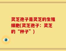 灵芝孢子是灵芝的生殖细胞(灵芝孢子：灵芝的“种子”)