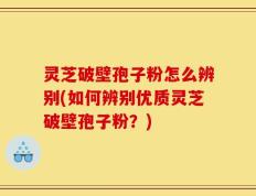 灵芝破壁孢子粉怎么辨别(如何辨别优质灵芝破壁孢子粉？)