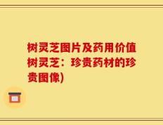 树灵芝图片及药用价值树灵芝：珍贵药材的珍贵图像)