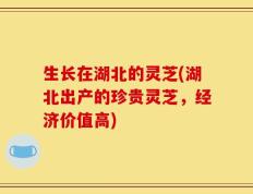 生长在湖北的灵芝(湖北出产的珍贵灵芝，经济价值高)