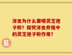 洋虫为什么要喂灵芝孢子粉？探究洋虫养殖中的灵芝孢子粉作用？