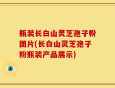 瓶装长白山灵芝孢子粉图片(长白山灵芝孢子粉瓶装产品展示)