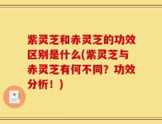 紫灵芝和赤灵芝的功效区别是什么(紫灵芝与赤灵芝有何不同？功效分析！)