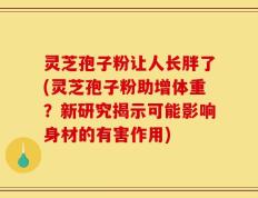 灵芝孢子粉让人长胖了(灵芝孢子粉助增体重？新研究揭示可能影响身材的有害作用)