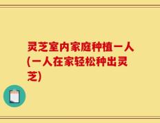 灵芝室内家庭种植一人(一人在家轻松种出灵芝)
