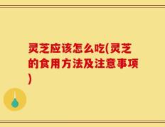灵芝应该怎么吃(灵芝的食用方法及注意事项)