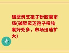 破壁灵芝孢子粉胶囊市场(破壁灵芝孢子粉胶囊好处多，市场迅速扩大)