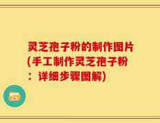 灵芝孢子粉的制作图片(手工制作灵芝孢子粉：详细步骤图解)