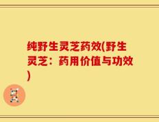 纯野生灵芝药效(野生灵芝：药用价值与功效)