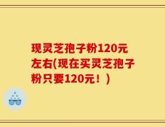 现灵芝孢子粉120元左右(现在买灵芝孢子粉只要120元！)
