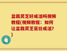 盆栽灵芝好成活吗视频教程(视频教程：如何让盆栽灵芝茁壮成活？)